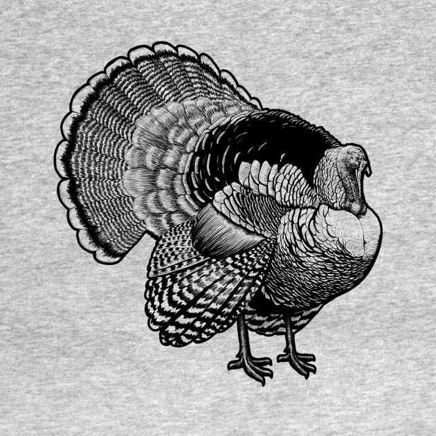 Turkey by mattleckie
